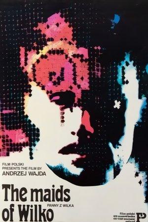 Poster - Слуги Вілко