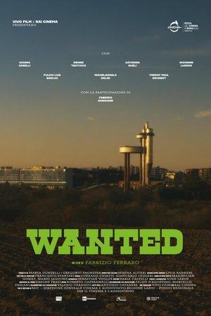 Постер - Шукаємо