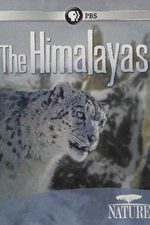 Poster - Гімалаї