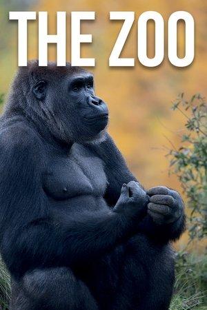 Poster - Зоопарк