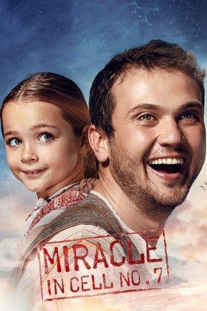 Poster - Диво в камері №7