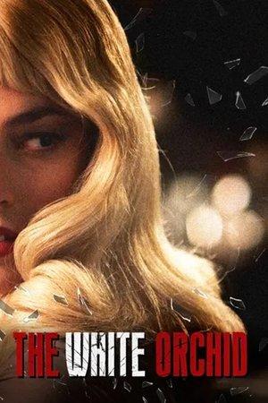 Poster - Біла орхідея