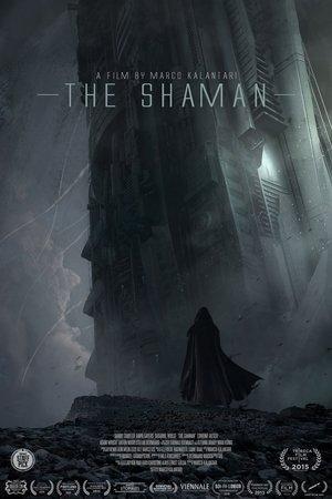 Poster - Шаман