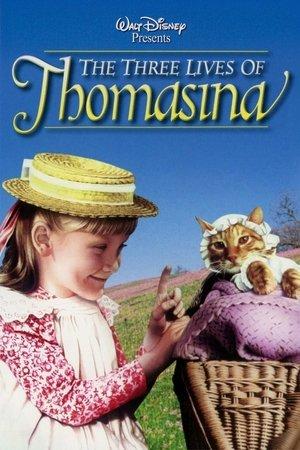 Poster - Три життя Томасіни