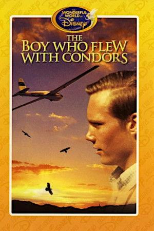 Poster - Хлопчик, який летів з кондорами