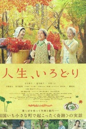Poster - 人生、いろどり