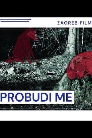 Poster - Розбуди мене.