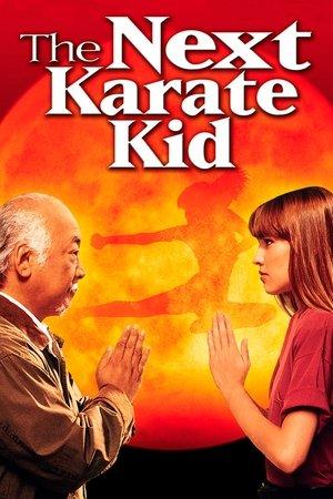 Poster - Малюк-каратист 4